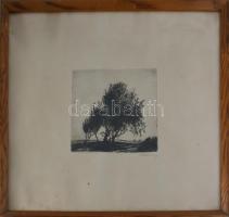 Barcsay Jenő (1900-1988): Fák. Rézkarc, papír, jelzett. Üvegezett fakeretben. Lapszéli ázásnyomokkal...