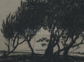 Barcsay Jenő (1900-1988): Fák. Rézkarc, papír, jelzett. Üvegezett fakeretben. Lapszéli ázásnyomokkal...