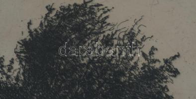 Barcsay Jenő (1900-1988): Fák. Rézkarc, papír, jelzett. Üvegezett fakeretben. Lapszéli ázásnyomokkal...