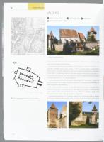 Karczag Ákos - Szabó Tibor: Erdély, Partium és a Bánság erődített helyei. Várak, várkastélyok, város...