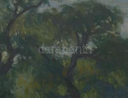 Einczinger Ferenc (1879-1950): Esztergom, Zsidódi híd. Olaj, karton, jelzett. Üvegezett fakeretben. ...