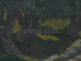 Einczinger Ferenc (1879-1950): Esztergom, Zsidódi híd. Olaj, karton, jelzett. Üvegezett fakeretben. ...