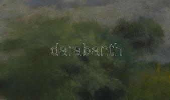 Agházy Gyula jelzéssel: Vízparti táj. Pasztell, papír. Üvegezett fakeretben. 24,5x32,5 cm