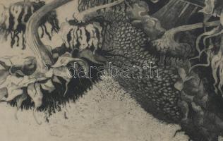 Hertay Mária (1932-2018): Virágok (napraforgó). Rézkarc, papír, jelzett, üvegezett fakeretben, 24×61...