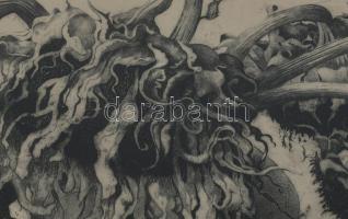 Hertay Mária (1932-2018): Virágok (napraforgó). Rézkarc, papír, jelzett, üvegezett fakeretben, 24×61...