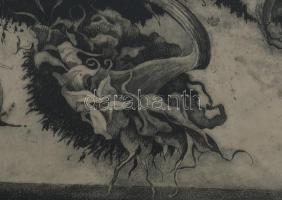 Hertay Mária (1932-2018): Virágok (napraforgó). Rézkarc, papír, jelzett, üvegezett fakeretben, 24×61...