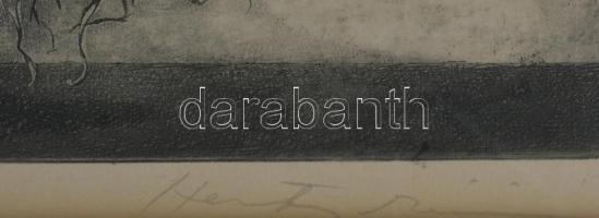 Hertay Mária (1932-2018): Virágok (napraforgó). Rézkarc, papír, jelzett, üvegezett fakeretben, 24×61...