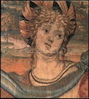 Bauer, Rotraud: Tapisserien der Renaissance. Wien, Kunsthistorisches Museum. Kiadói papírkötés, jó állapotban.