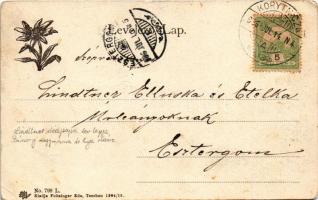 1906 Koritnyica, Korytnica; Hygiea villa, szálloda. Feitzinger Ede No. 799. / villa, hotel (EB)