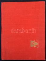 Magyar rendező főként Krajcárosokkal, kevesebb Turul és későbbi bélyeg 10 lapos A/4-es berakóban