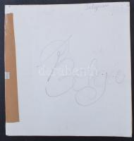 Belgium gyűjtemény maradvány az 1863-1929 közötti időszakból, benne vasúti bélyegek is, előnyomott a...