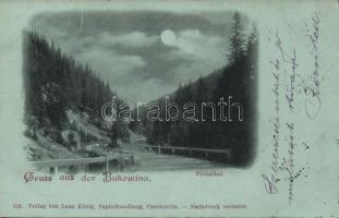 1899 Putna valley