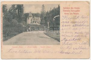 1915 Sinaia, Castelul Peles / castle (wet damage)