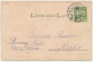 1915 Sinaia, Castelul Peles / castle (wet damage)