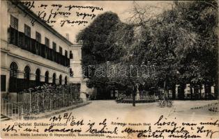 1904 Szliács, Sliac; Fő tér, Kossuth-fa. Lechnitzky O. fénynyomdája kiadása 191. sz. / main square, tree (fl)