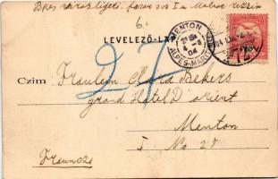 1904 Budapest VI. Hunyadi tér, Hoffman kávéház. Divald Károly 34. sz. (EK)