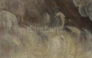 Lengyel-Reinfuss Ede (1873-1942): Melczer bárónő, a kékedi Melczer kastély úrnője portréja hermelinb...