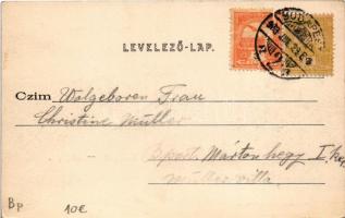 1903 Budapest XII. Zugliget, Normafa, Szt. János hegy csúcs. Divald Károly 172. sz