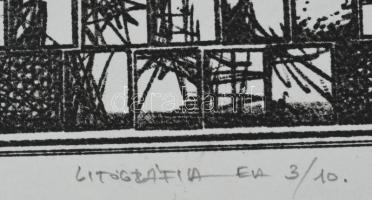 Neuberger István (1953-): Fraktálok, 1987. Litográfia, papír. Jelzett. Művészpéldány EA 3/10 számozá...