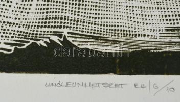 Neuberger István (1953-): Vágta, 2002. Linómetszet, papír. Jelzett. Művészpéldány EA 6/10 számozássa...