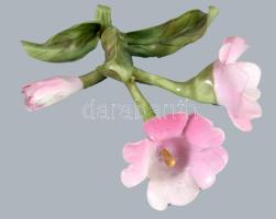 Herendi plasztikus virág. Jelzett, minimális pattogzással, 10x9 cm