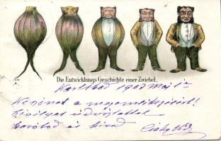 Evolution of an Onion litho