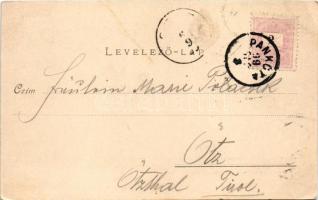 1899 Pankota, Pancota; Herceg Sulkowski kastély. Bloch H. kiadása / castle (EK)