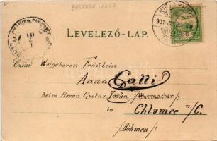 1901 Pozsony, Pressburg, Bratislava; vár, gőzhajó, cigány zenekar / castle, steamship, Gypsy musicia...