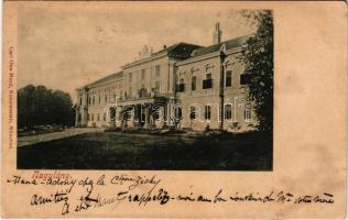 1902 Nagyláng (Soponya), Gróf Zichy kastély, park. Carl Otto Hayd Kunstanstalt (fl)