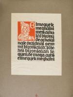 Bródy Maróti Dóra - Kner Albert: A halál himnusza. Ráskai Lea után újra leírta és rajzolta Bródy Mar...