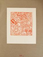 Bródy Maróti Dóra - Kner Albert: A halál himnusza. Ráskai Lea után újra leírta és rajzolta Bródy Mar...