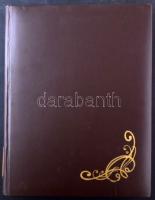 1919-1948 Több példányos magyar rendező blokkokkal 16 lapos A/4 berakóban