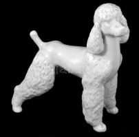 Fehérmázas porcelán uszkár figura, számozott, hibátlan, 17x18 cm