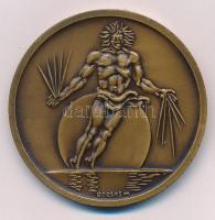 Borsos Miklós (1906-1990) 1980. "XXVIII. International Congress of Physiological Sciences Budap...