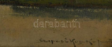 Szepesi Kuszka Jenő (1885-1948): Hegyvidéki táj. Olaj, karton, jelzett, fakeretben, 24,5×33 cm