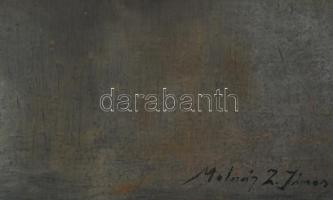 Molnár Z János jelzéssel: Csendélet. Olaj, vászon, fakeretben, 60×80 cm