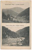 Borsa, Szekul-völgy a Torojága havassal, Csizla-völgy a Sándor-forrással, fűrésztelep / sawmill (EB)