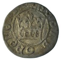 Lengyel Királyság 1492-1501. 1/2gr Ag "I. János Albert" Krakkó (0,86g) T:VF patina
Polish...