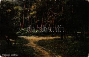 1913 Kőszeg, Rőti út. Róth Jenő kiadása (kopott sarkak / worn corners)