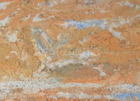 Gyelmis Lukácsné Fehér Etelka (1921-): Csendélet hangszerrel. Olaj, farost. Jelezve jobbra lent. Hát...