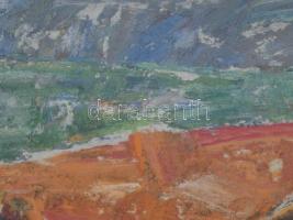 Gyelmis Lukácsné Fehér Etelka (1921-): Csendélet hangszerrel. Olaj, farost. Jelezve jobbra lent. Hát...