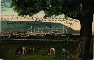 1910 Kőszeg, látkép keletről. Róth Jenő kiadása (EK)