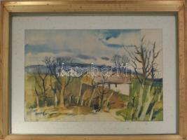 Szalóky Sándor (1921-1978): Csobánkai hangulat, 1977. Akvarell, papír, jelezve jobbra lent, hátoldalán Képcsarnok Vállalat címkéjével, 43×68 cm. Dekoratív, üvegezett fakeretben.