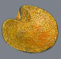 3 darab retro iparművész tányér, kínáló, közte Magyarszombatfa, felületi sérüléssel, h: 18,5 cm