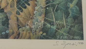 Egresi Zsuzsa (1954-): Piccola dimorra estiva, 1990. Vegyes technika (nyomat?), papír, jelzett, üveg...