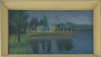 Olvashatatlan jelzéssel: Vízpart. Pasztell, papír, üvegezett fakeretben, 35,5×60 cm.