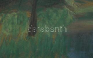 Olvashatatlan jelzéssel: Vízpart. Pasztell, papír, üvegezett fakeretben, 35,5×60 cm