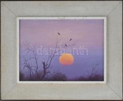 Dezső József (1935-1995): Téli nap, 1982. Olaj, farost, jelzett, hátoldalán Képcsarnok Vállalat címkéjével. Dekoratív, kissé sérült fakeretben, 30×40 cm