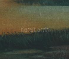 Tapolcai Szabó László (1953?): Tópart. Olaj, vászon, jelzett. Üvegezett fakeretben, 37,5×44,5 cm