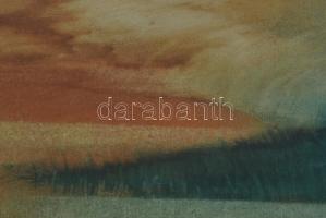 Tapolcai Szabó László (1953?): Tópart. Olaj, vászon, jelzett. Üvegezett fakeretben, 37,5×44,5 cm